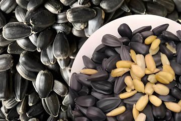 Cottonseed Oil Processing